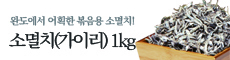 1_소멸치(가이리)1kg 